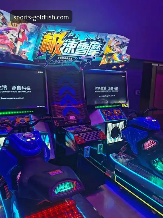 解锁沉浸式观赛体验：乐鱼体育平台v2.0.8版本观赛实战指南